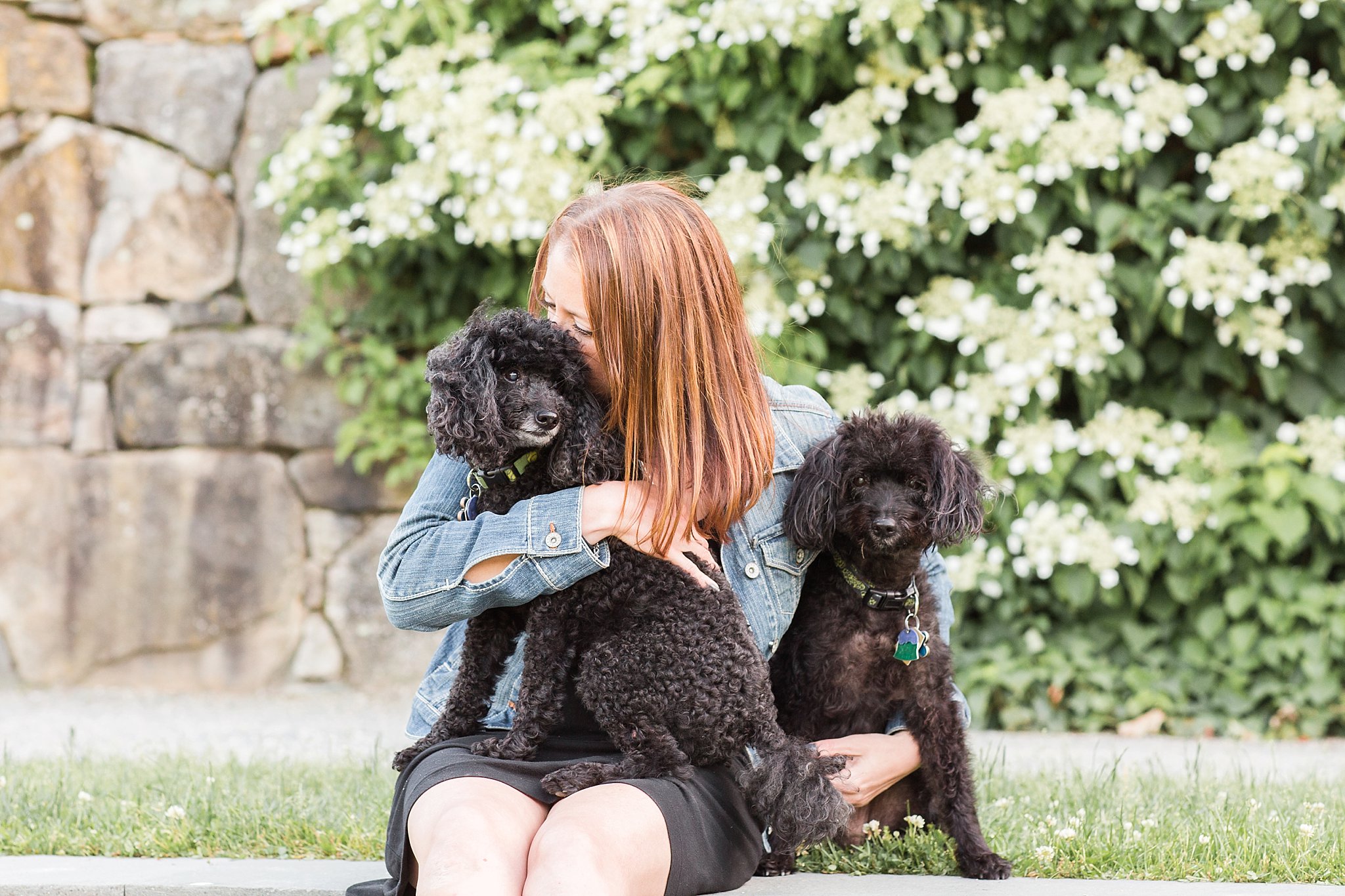 woman kissing her two black yorkipoos in the Arnold Arboretum in Jamaica Pond, MA