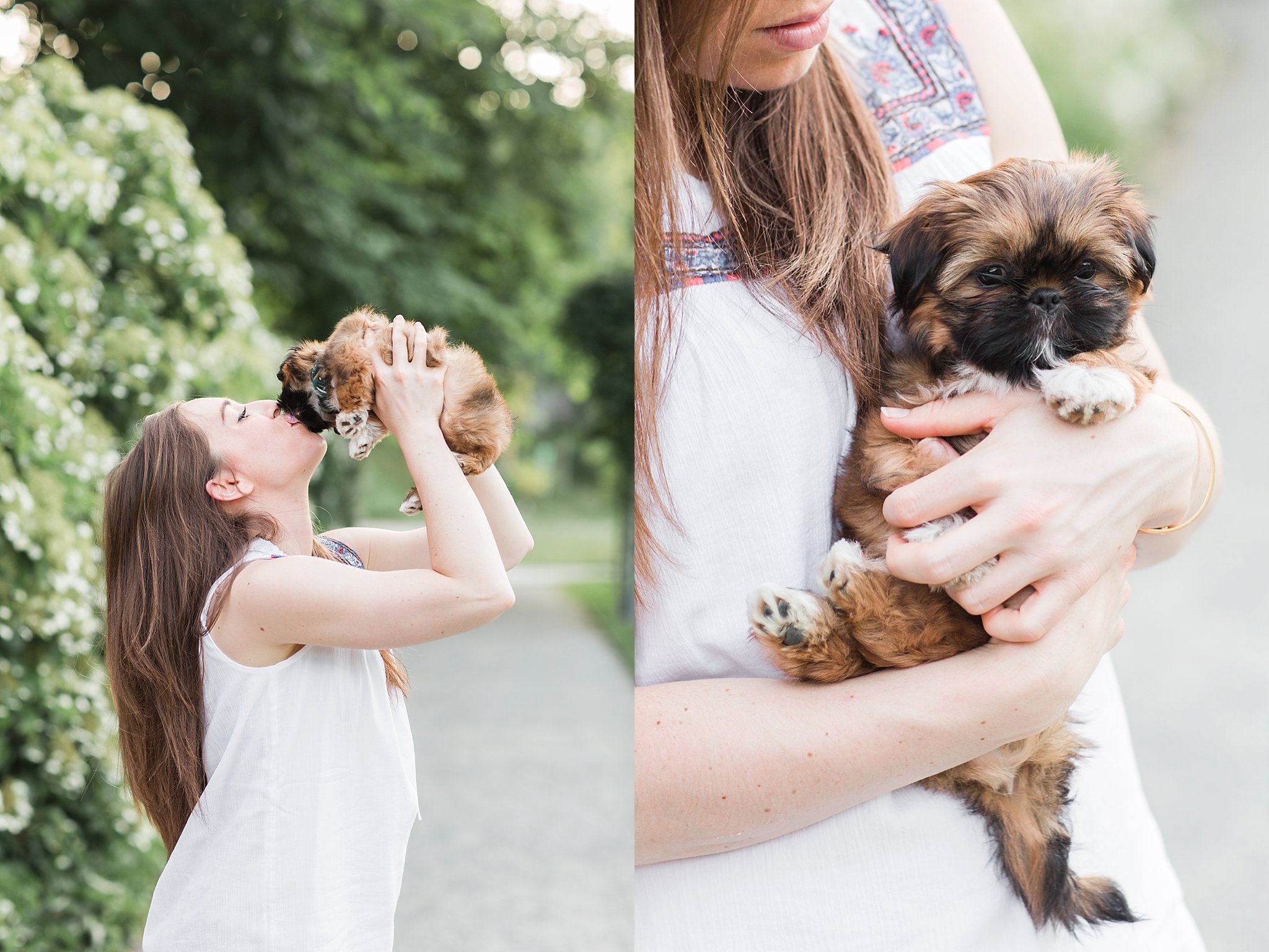 woman kissing her shih tzu puppy in the Arnold Arboretum in Jamaica Pond, MA