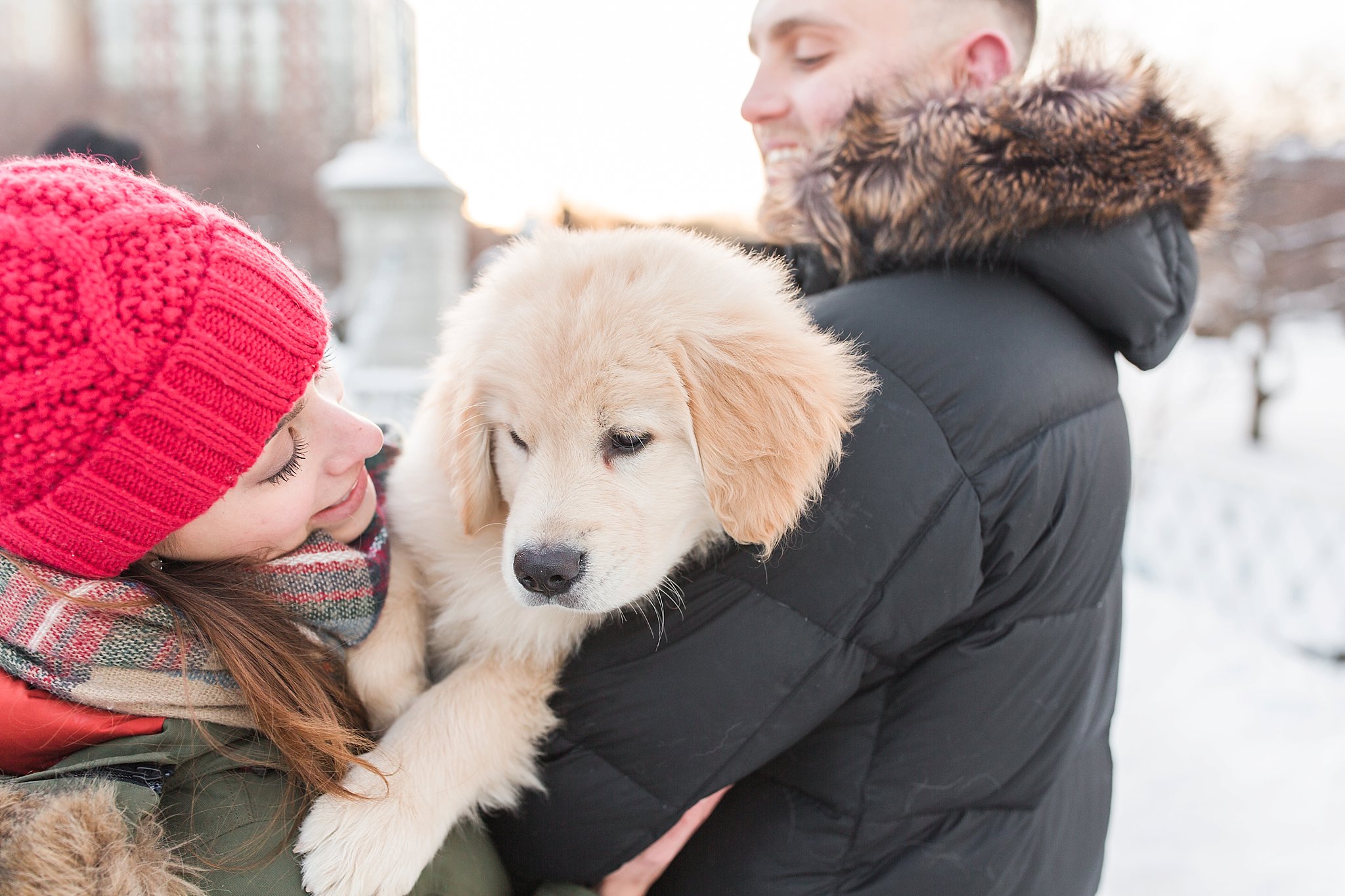 couple holding their golden retriever puppy in the Public Garden in Boston