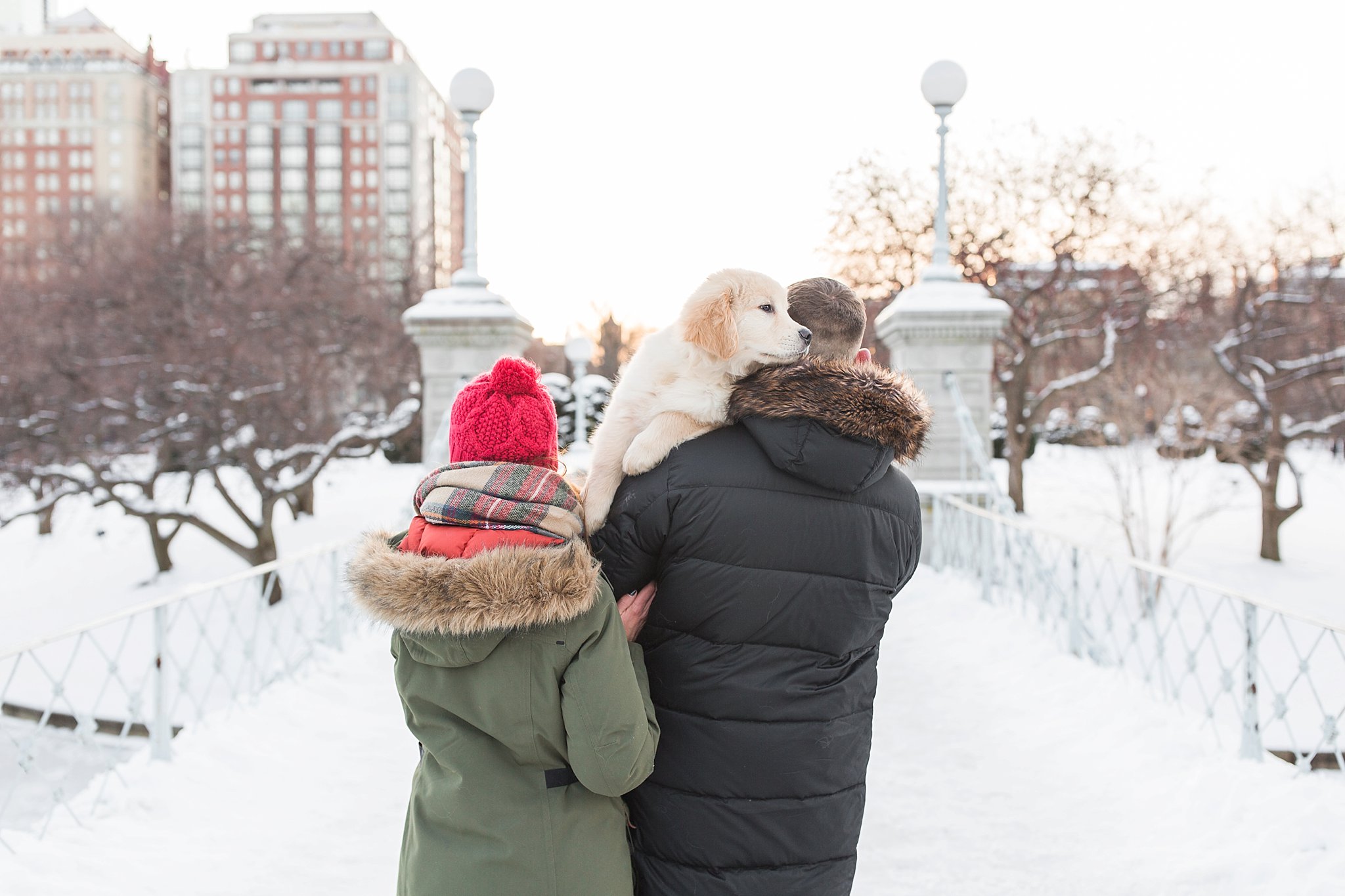 couple holding their golden retriever puppy over their shoulders in the Public Garden in Boston