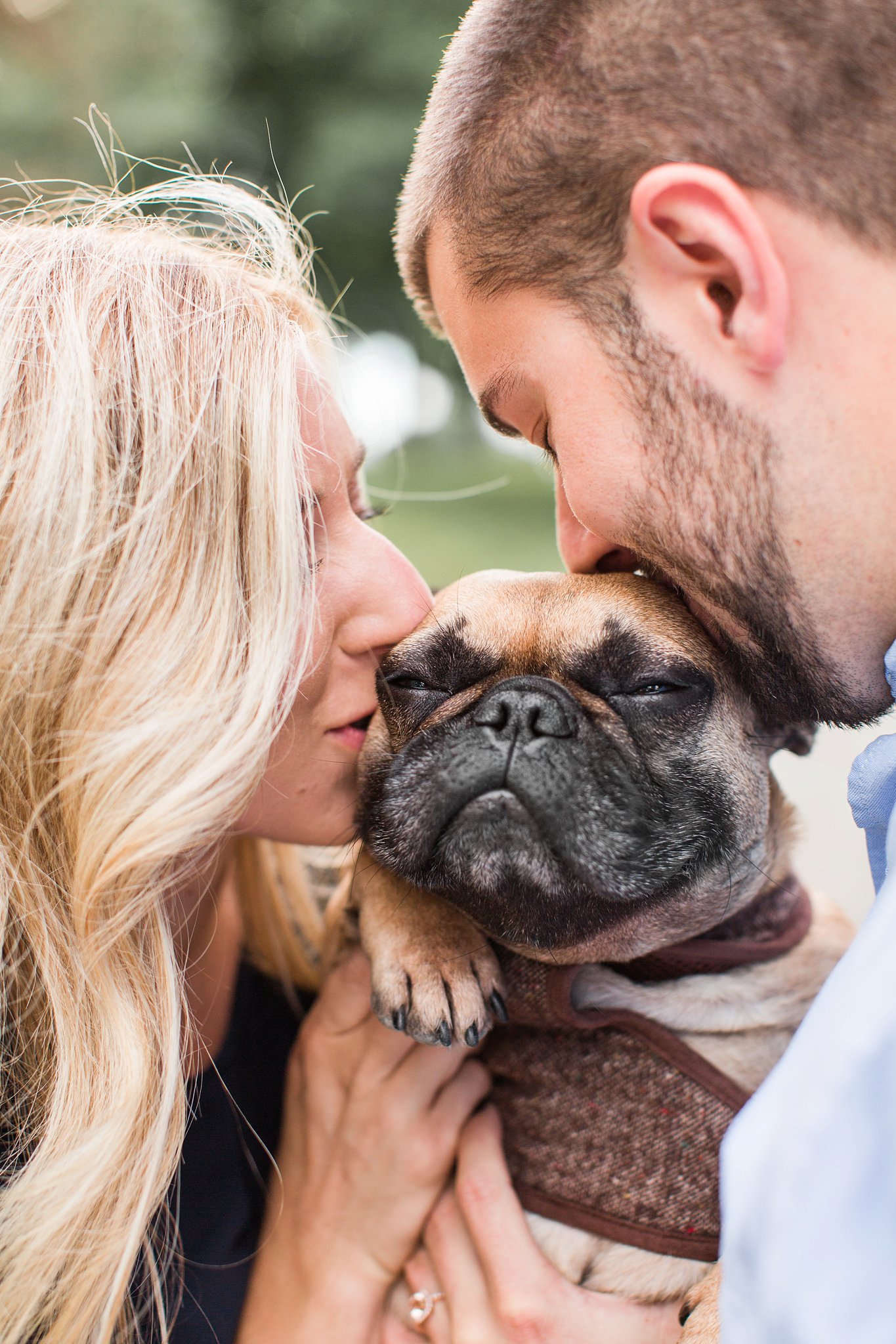 couple kissing their brown frenchie at World's End in Hingham, MA