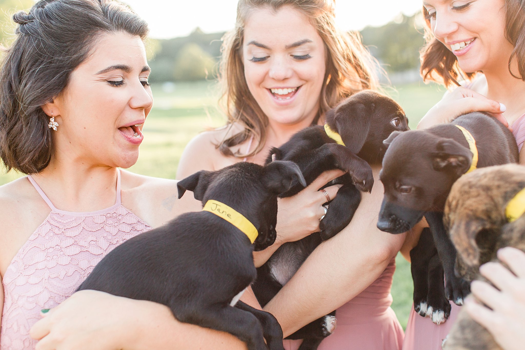bridesmaids with adoptable puppies