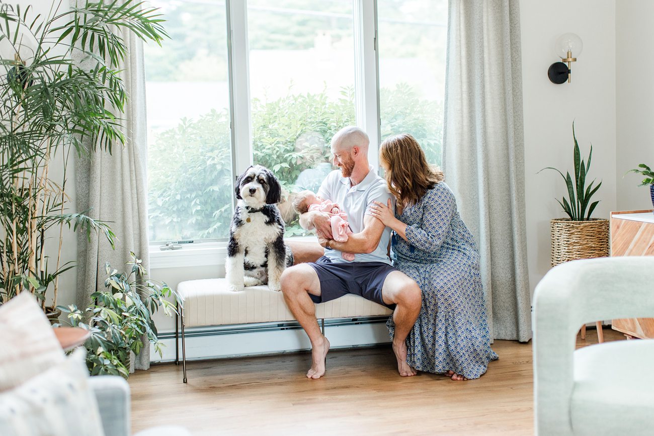 Mom and Dad sitting on a bench with their dog and baby.