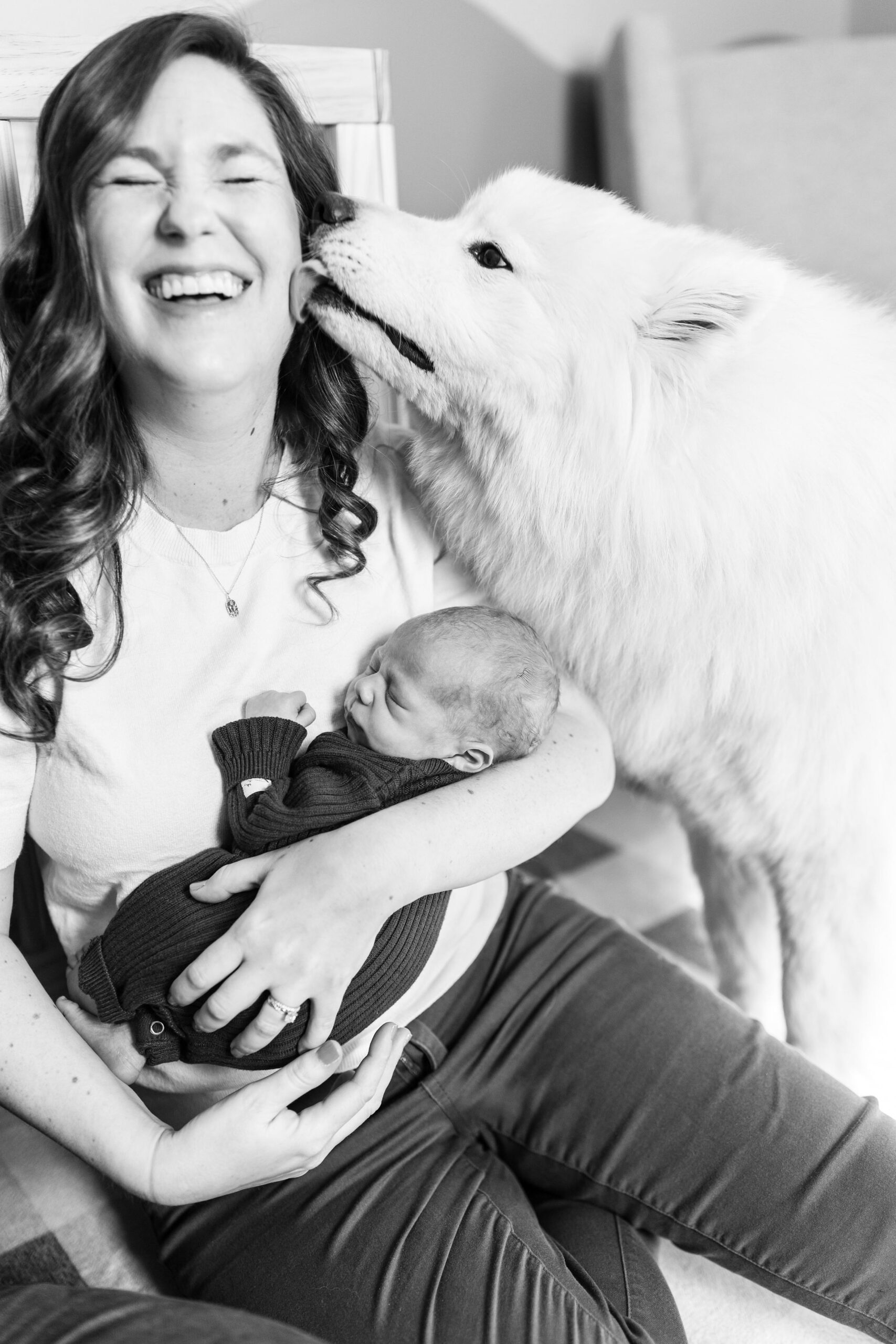 Black and white photo of mom holding baby while dog licks her face