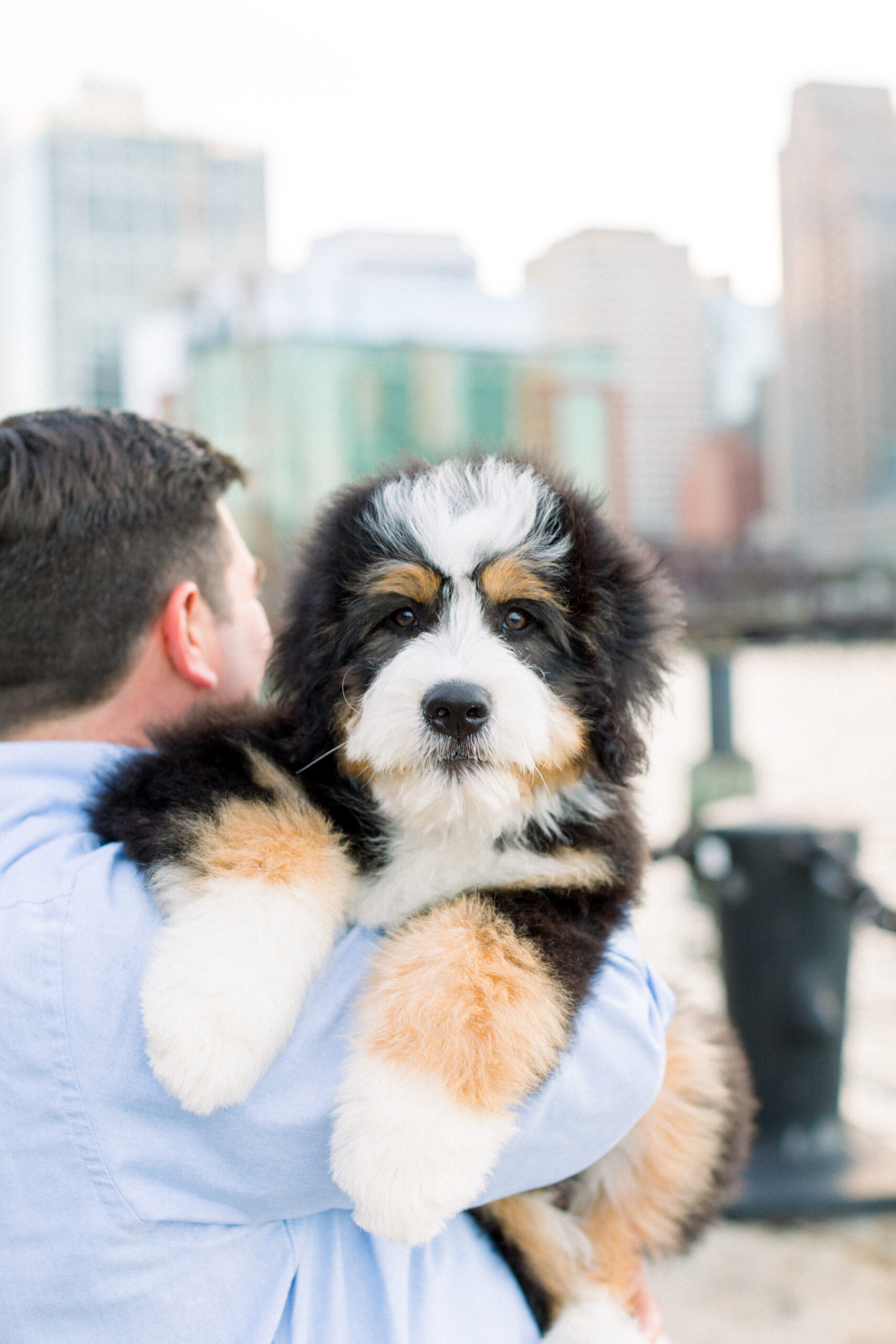 Man holding a fluffy puppy with city buildings in the background during a Puppy Photoshoot.