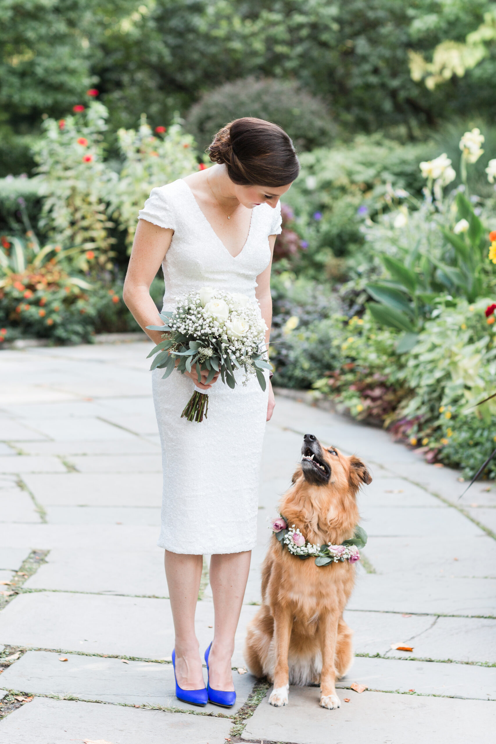 Bride looking at her dog at wedding
