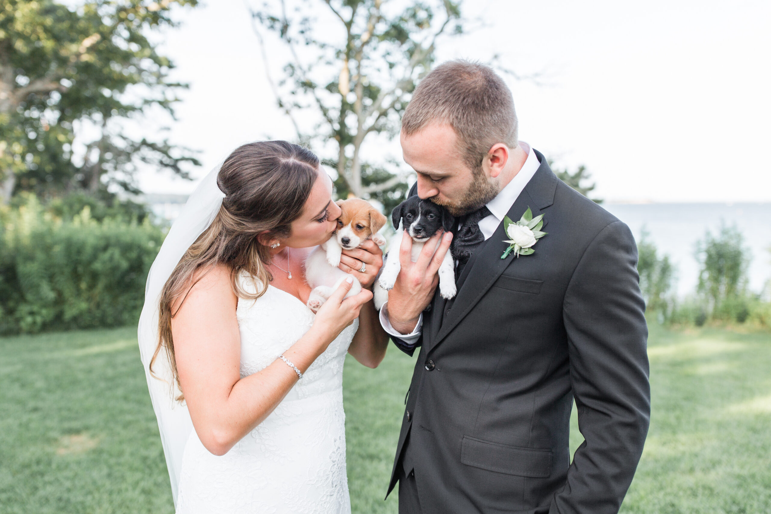 Bride and groom kissing puppies at wedding