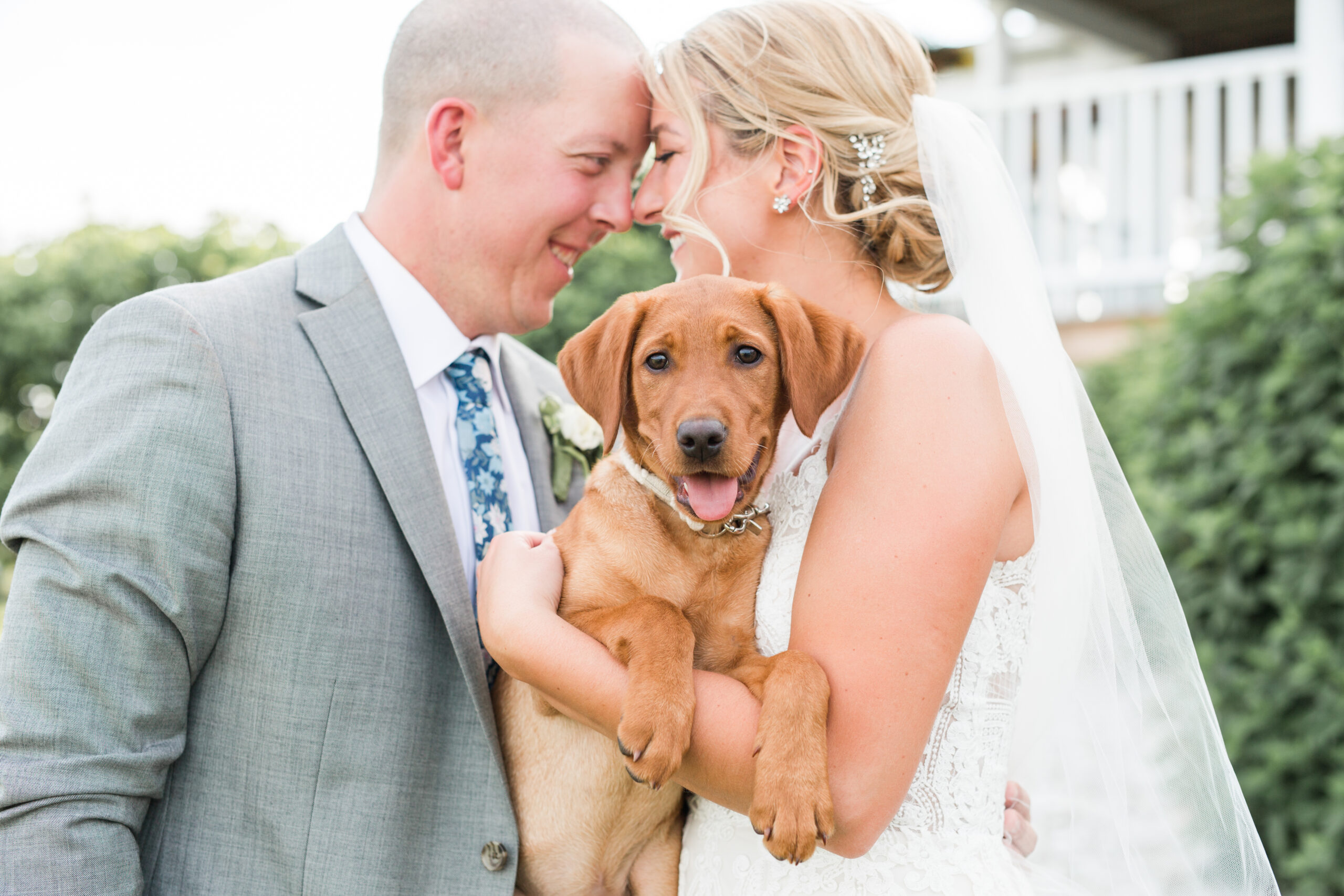 A couple holding a dog at wedding