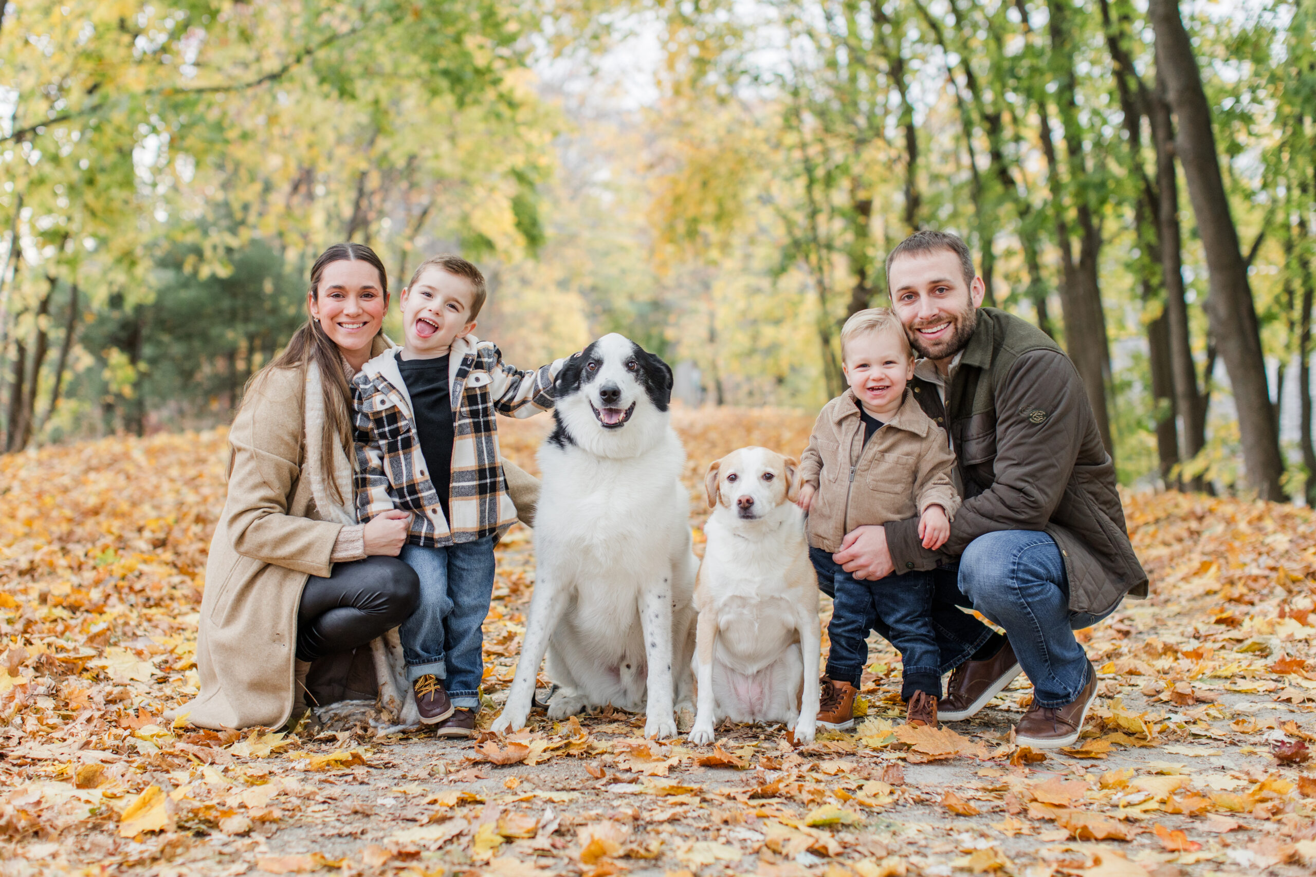 A full family photo from a fall family photoshoot