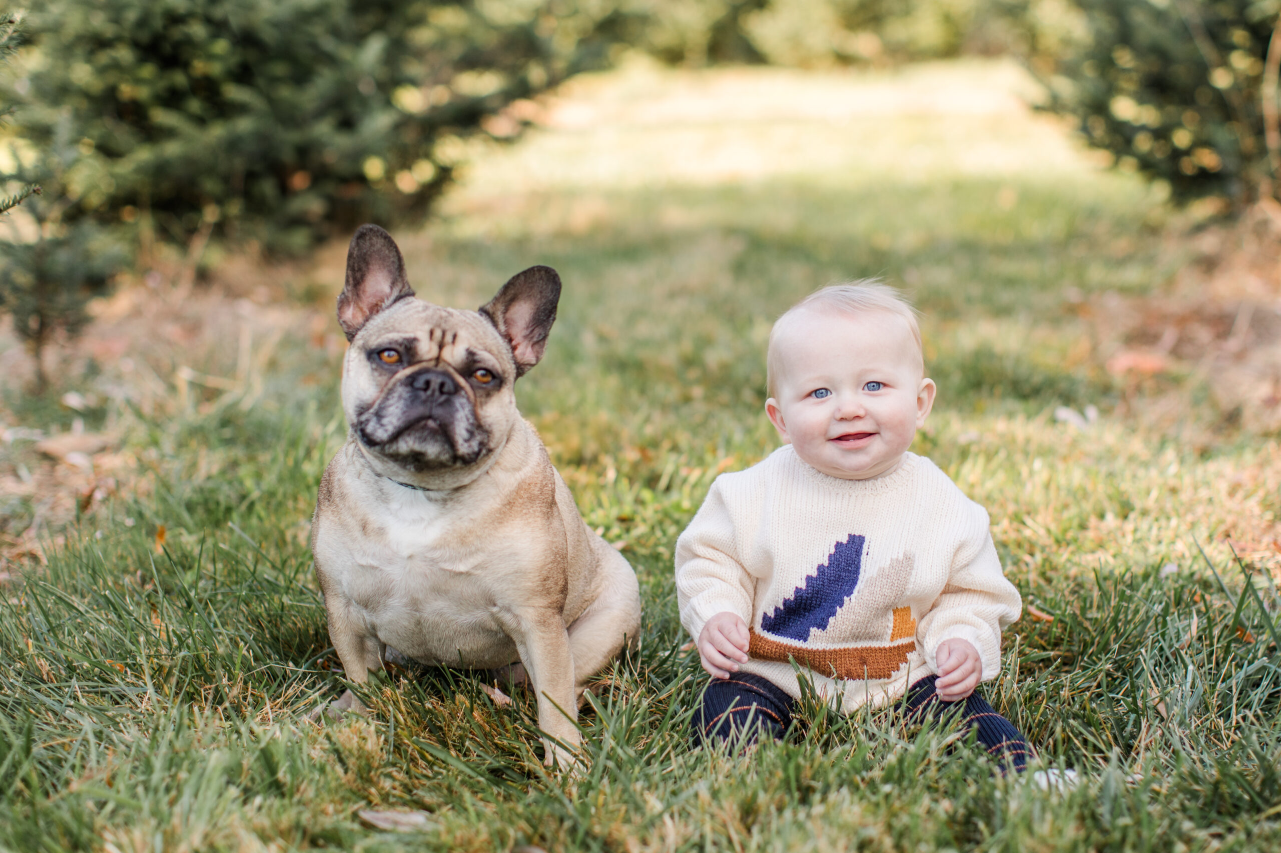 A baby sitting next to a puppy during Christmas family photos