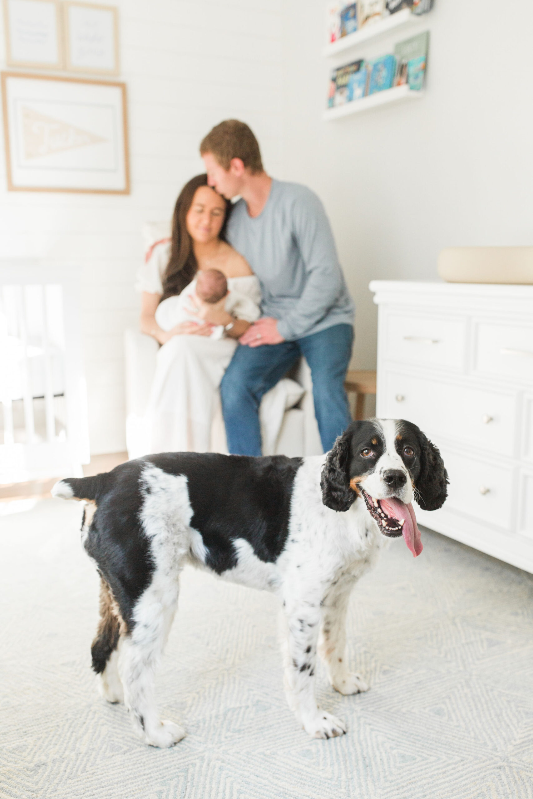 A dog in front of a family for newborn photos