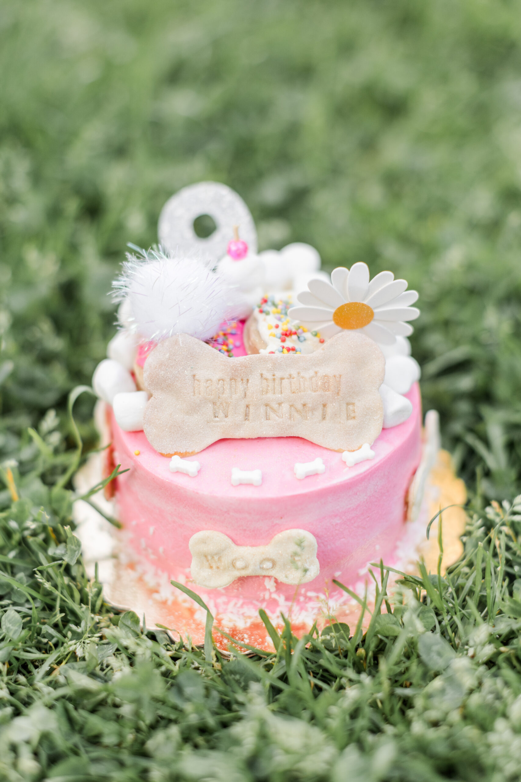 A dog birthday cake