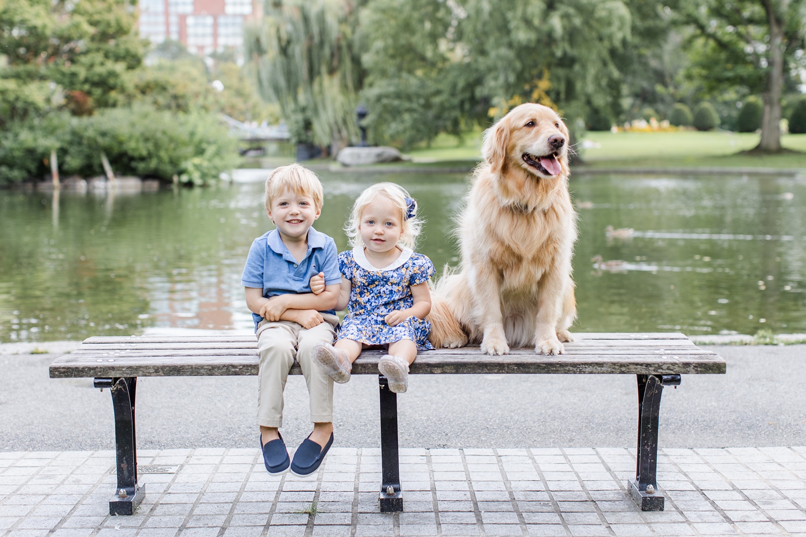 Two small children sitting on a bench with a dog