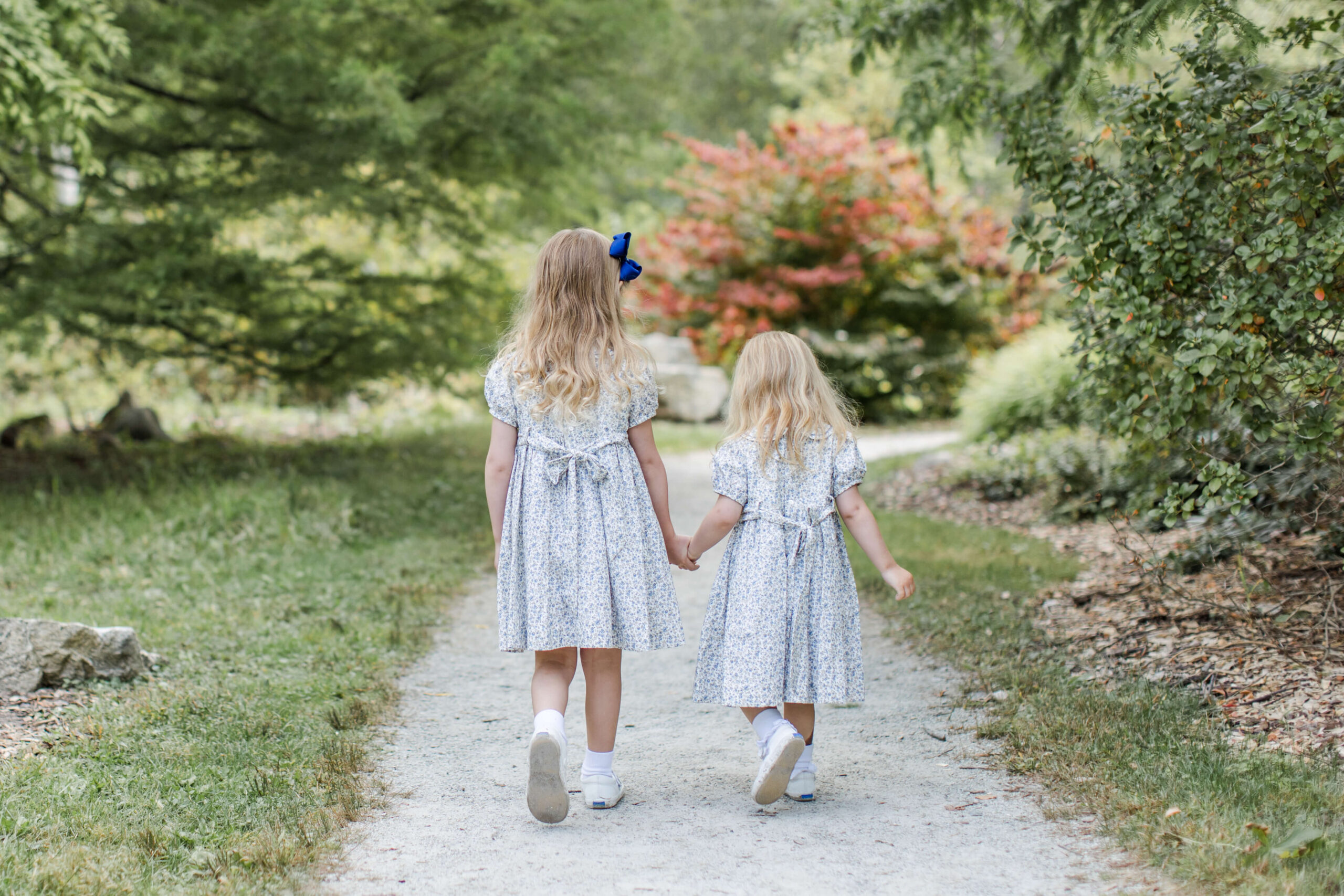Two sisters in matching blue floral dresses walk hand in hand away from the camera down a winding garden path during Boston family photos, seen from behind. The older girl's blue bow and both girls' white sashes are visible as they stroll together, with colorful red and green foliage lining the path ahead.