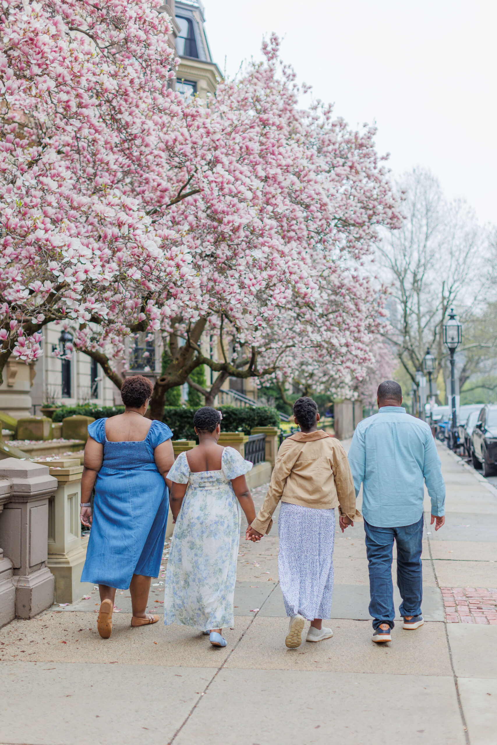 A family of four walks hand in hand down a tree-lined Boston sidewalk during a Boston family photoshoot in spring, seen from behind. The parents and their two daughters stroll together beneath a canopy of full-bloom pink magnolia trees, with historic brownstones and gas lanterns lining the street.