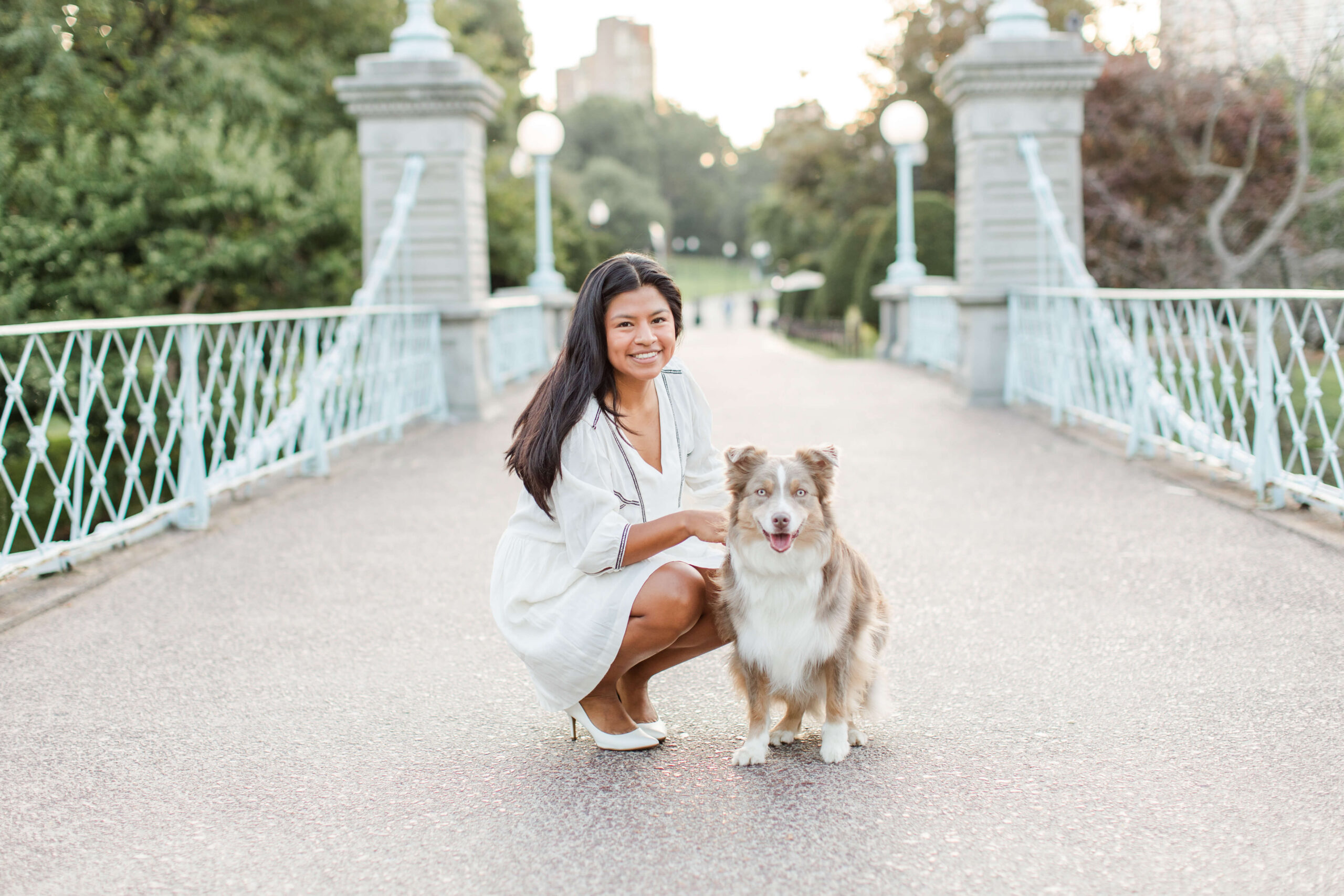 Woman kneeling beside her Australian shepherd on the bridge at Boston Public Garden. The dog sits happily beside her while the decorative railings, stone pillars, and tree-lined pathways create a classic Boston backdrop.