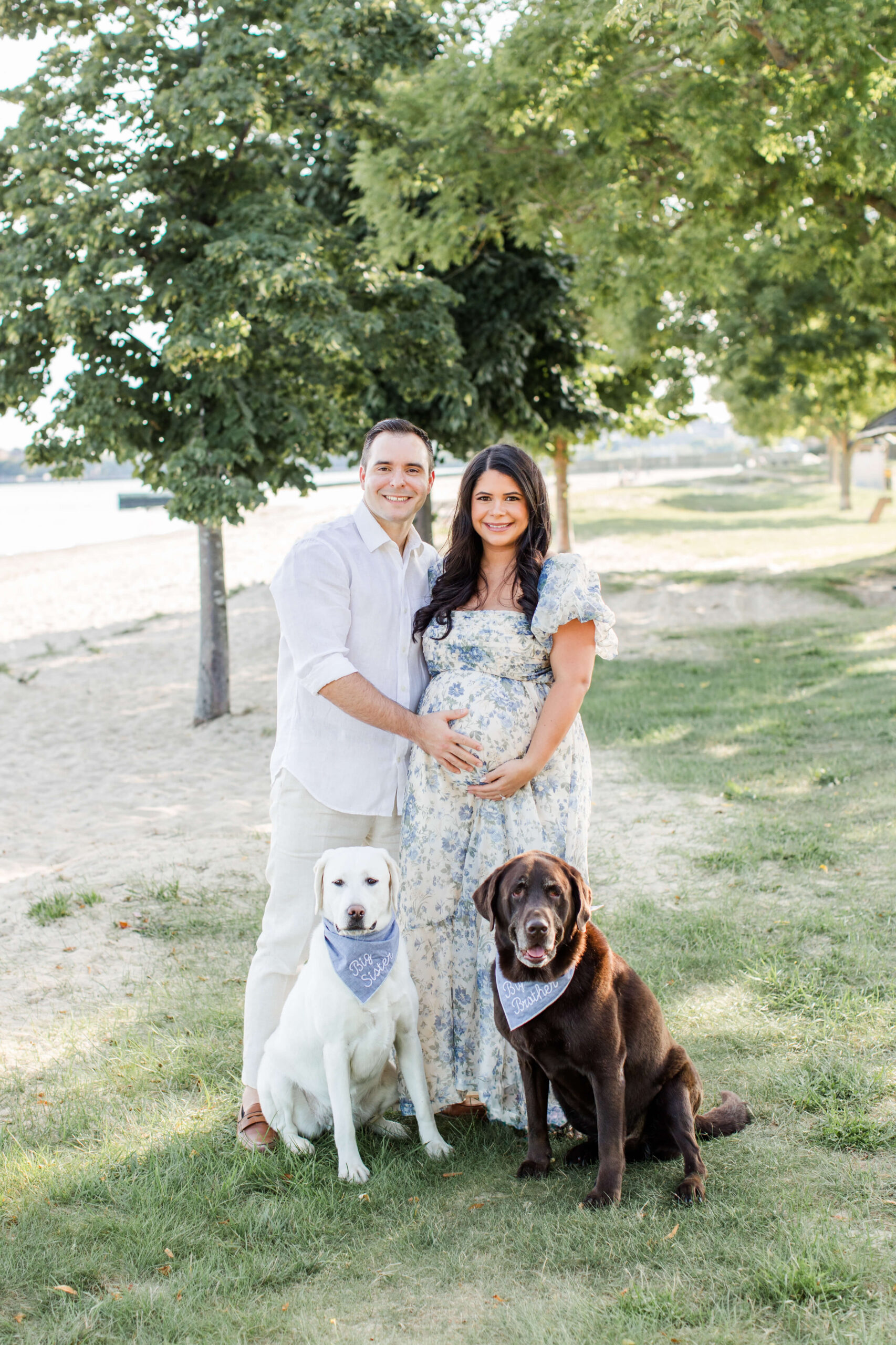 Expecting couple posing beneath a tree with their white and chocolate Labs during a photo shoot with your dog.