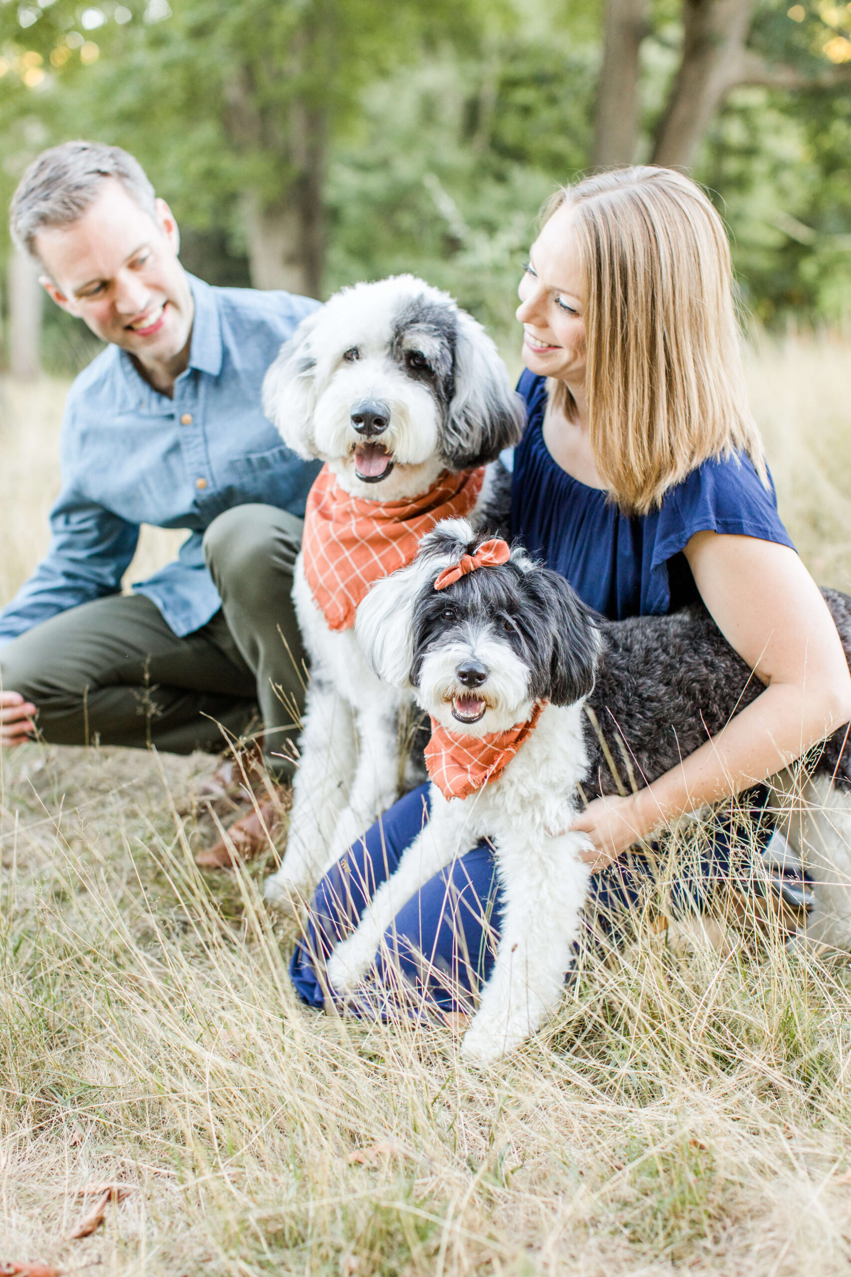 Couple sitting in tall grass with their two fluffy dogs wearing orange bandanas.