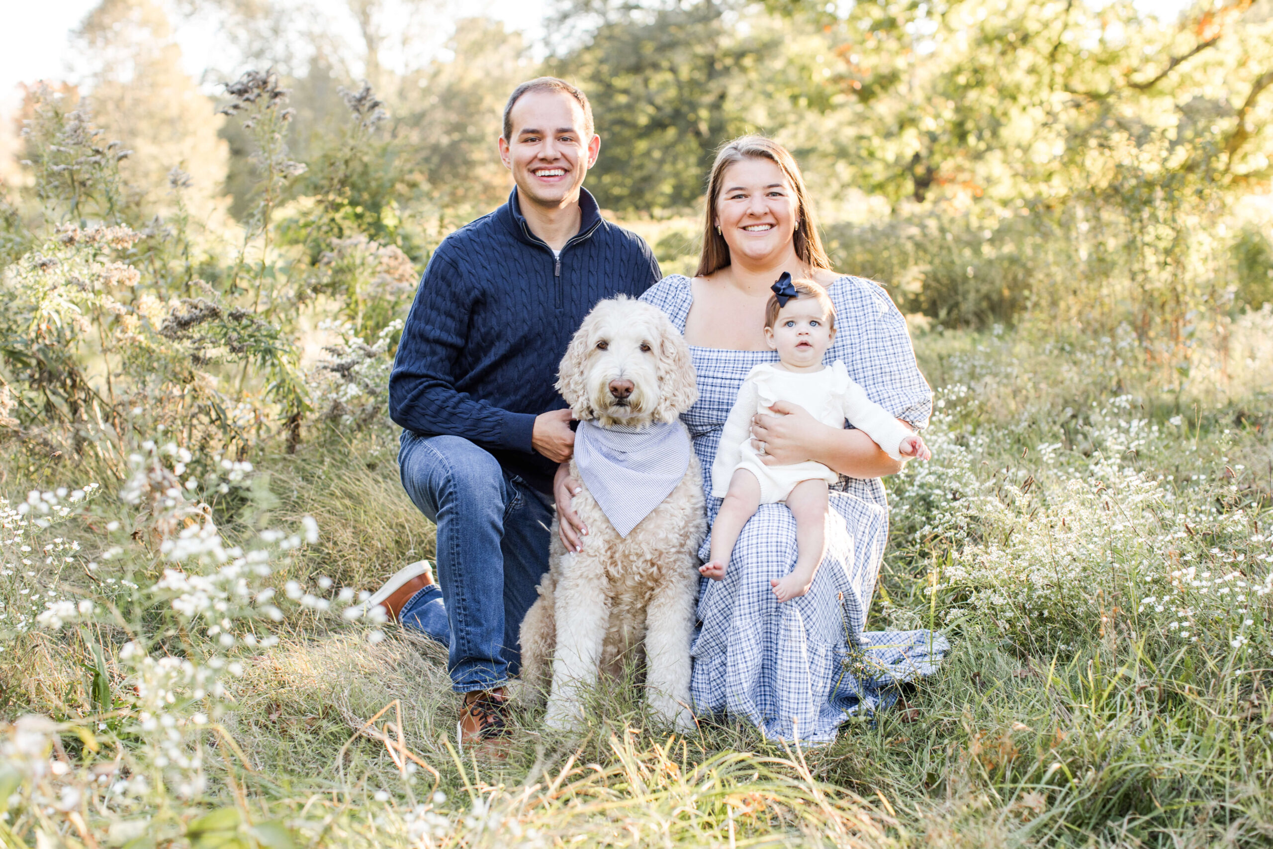 Parents sitting in a meadow with their baby and two fluffy dogs.