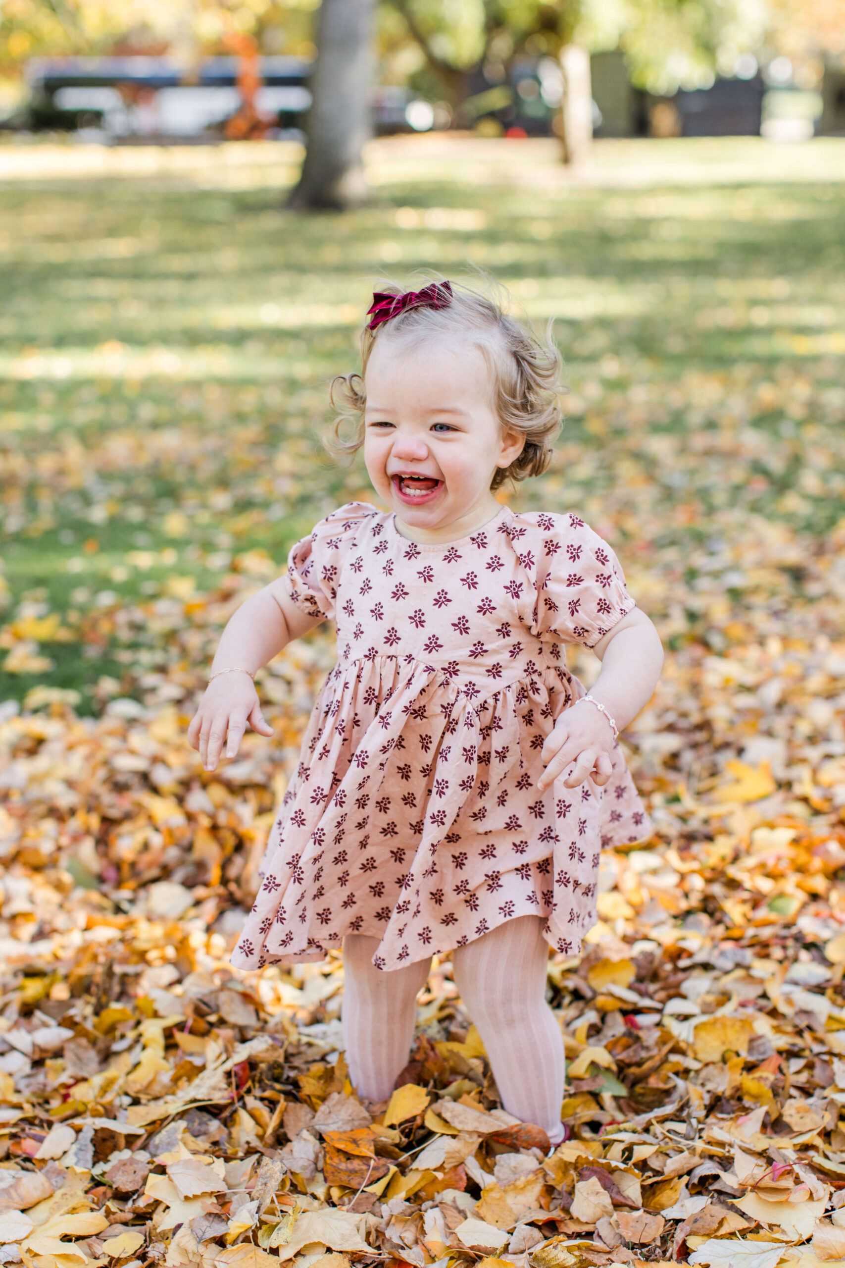 Smiling toddler standing among colorful fallen leaves during a fall family photo session at Boston Public Garden.