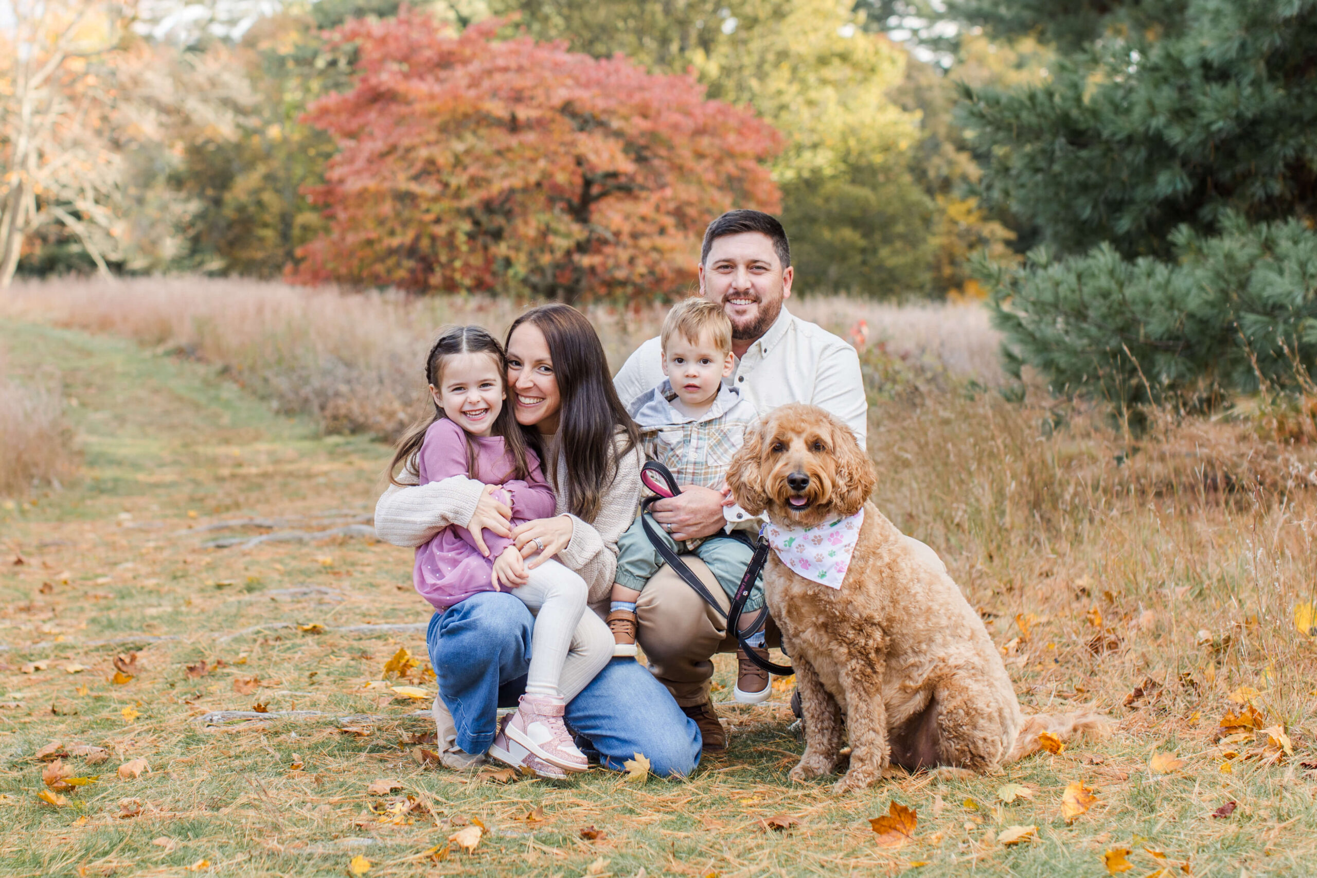 Family of four posing with their dog during a fall mini session, surrounded by colorful autumn foliage and fallen leaves.