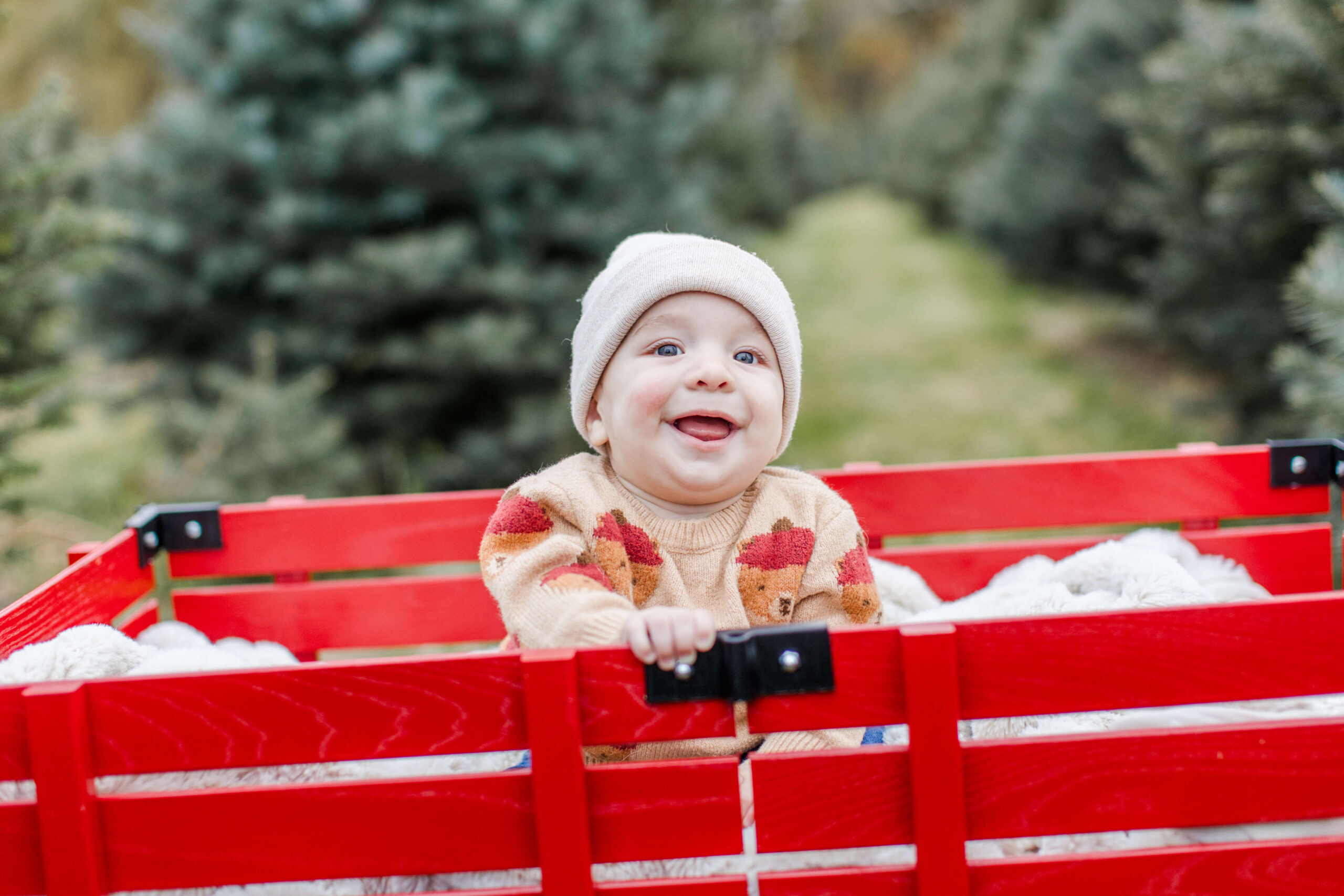 Smiling baby sitting inside a bright red wagon during a Christmas tree farm mini session.