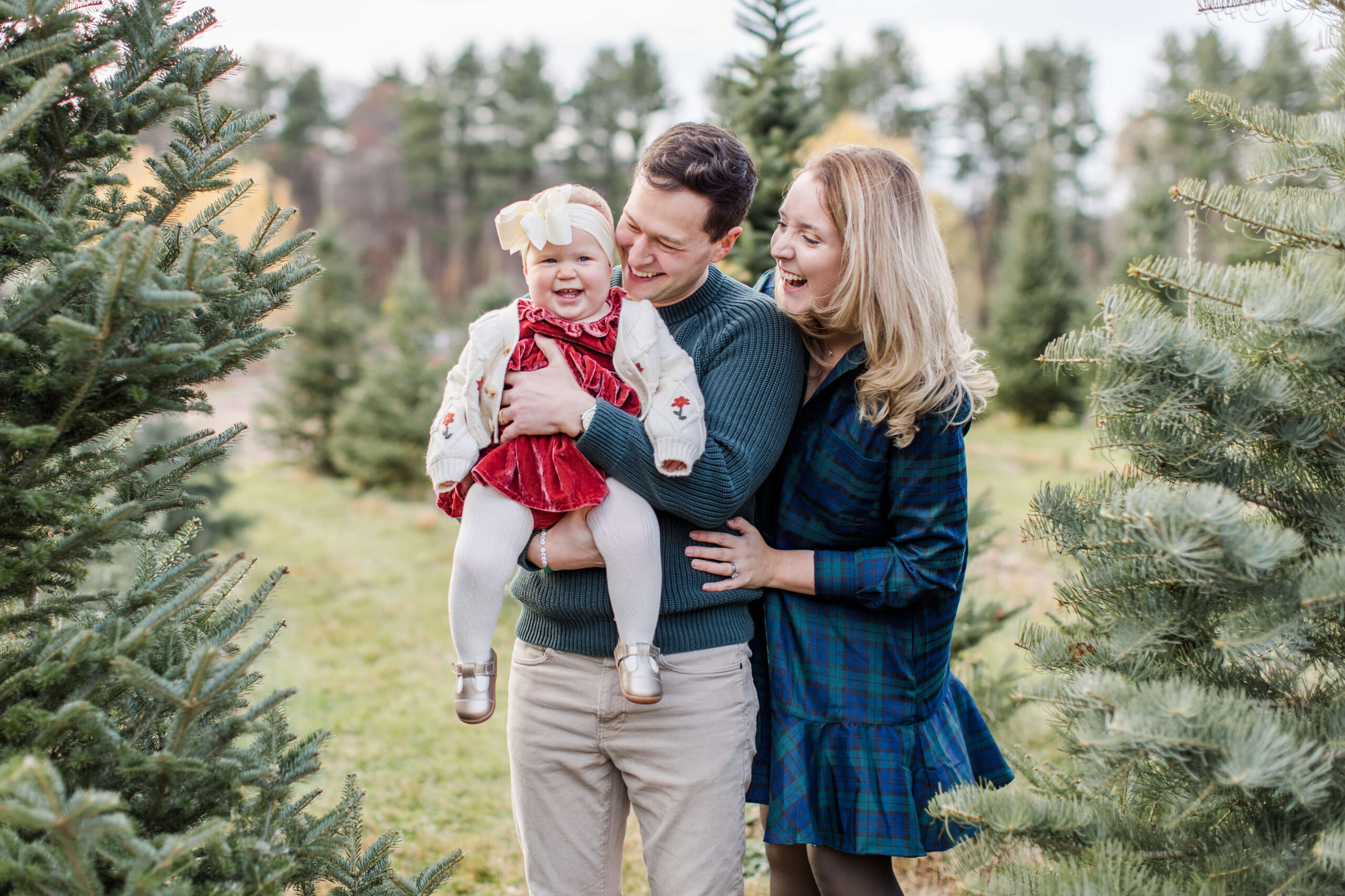 Parents laughing with their baby girl dressed in red during a Christmas mini session at a Christmas tree farm.