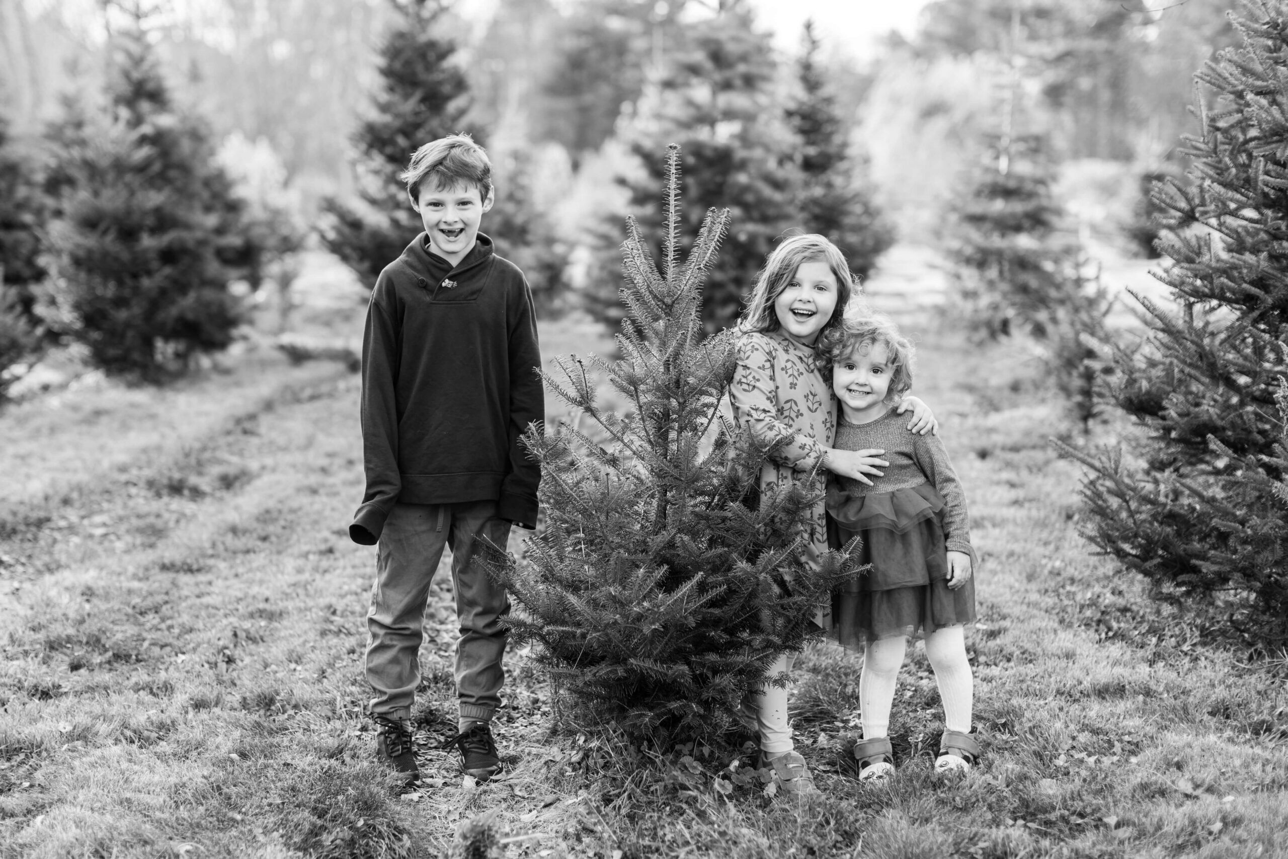 Black and white photo of three young siblings smiling together beside a small Christmas tree at a tree farm.